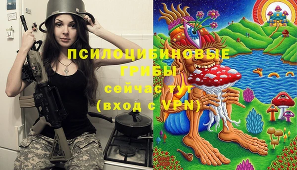ПСИЛОЦИБИНОВЫЕ ГРИБЫ Верхнеуральск