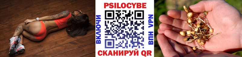 Псилоцибиновые грибы MAGIC MUSHROOMS  Пятигорск 